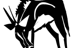 antilope_tegning_ole_valdemar